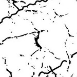 stone cold steve austin