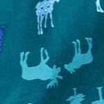 deep teal moose