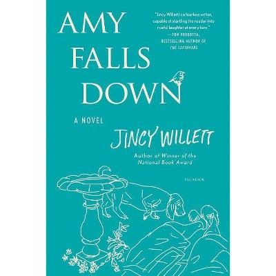 Amy Falls Down - (Amy Gallup) by  Jincy Willett (Paperback)