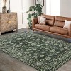 coucheta Washable Area Rug for Living Room, Multi-size Vintage Distressed Floral Non Slip Non-Shedding Carpet, for Home Office, Dining, Bedroom - 4 of 4