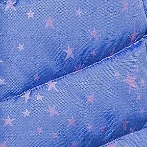 chicory blue stars