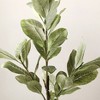Artificial Tree - Faux 51" Potted Magnolia Tree - FXP1006 - Multicolored - Safvieh - 3 of 4