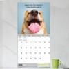 TF Publishing 13.5"x14.5" 2026 Desk Dogs Wall Calendar - 3 of 4