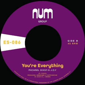Dixon Michael a. & J.O.Y. - You're Everything B/w You're All I Need (vinyl 7 inch single) - 1 of 1