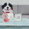 Pavilion Gift Company - Dog Mom - 3" x 3" Glass Plaque - Wall Sign Panels - 3 of 4