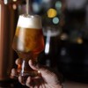 Craft/Pilsner Beer Tumbler - 19oz  - Set of 6 - 3 of 4
