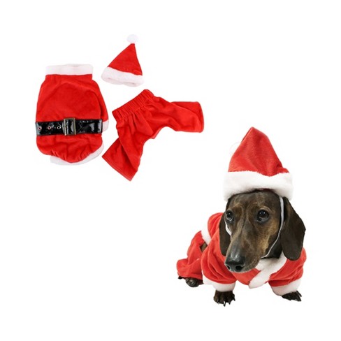 Dog Clothes & Dog Costumes : Target