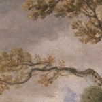 harvest pine