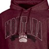 NCAA Montana Grizzlies Men's Hooded Sweatshirt - 3 of 3