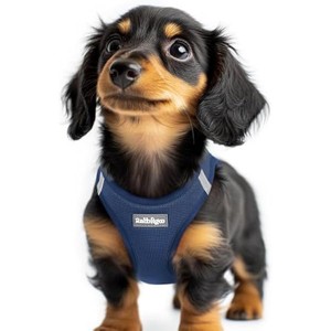 rabbitgoo Small Dog Harness, Step-in Soft Mesh Puppy Vest with Safety Buckle, Breathable Reflective Pet Harness for Extra Small Dogs, Navy Blue XXS - 1 of 1
