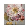 Trademark Fine Art -Lisa Audit 'Classically Beautiful II' Canvas Art - 2 of 3