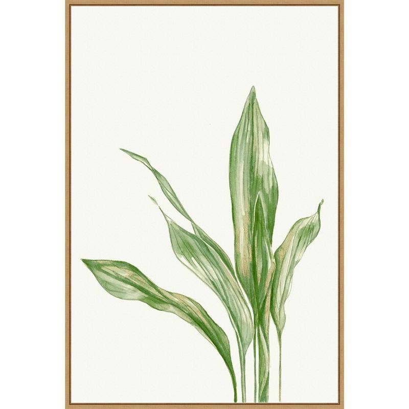 22&#34; x 33&#34; Cast Iron Plant II by and Slyp Errico Framed Canvas Wall Art Light Brown - Amanti Art, 1 of 11