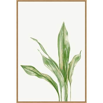 22" x 33" Cast Iron Plant II by and Slyp Errico Framed Canvas Wall Art Light Brown - Amanti Art