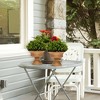 Costway 4-Pack Artificial Plants Fake Mini Potted Plant Small Greenery Decor for Indoor - image 4 of 4