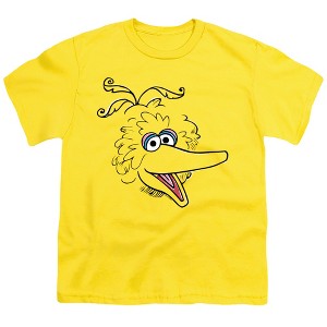Boys' Sesame Street Big Bird Retro Sketch Face T-Shirt - 1 of 4