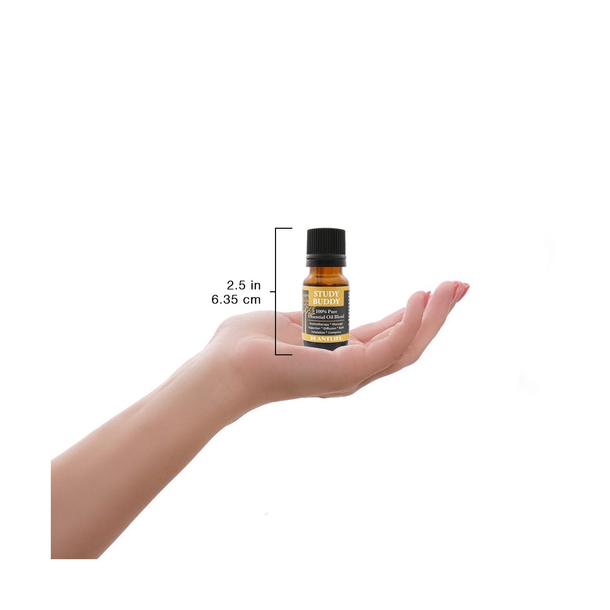 Plantlife Study Buddy Essential Oil Blend – 100% Pure & Therapeutic Grade – Natural, Undiluted & Focus-Boosting – No Additives or Fillers – 10ml - thumbnail 3