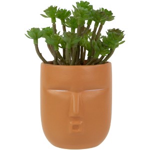 Northlight Mini Artificial Succulent in Face Planter Pot - 5.5" - 1 of 4