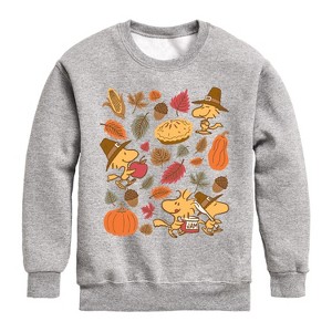 Boys' - Peanuts - Woodstock Thanksgiving Icons Graphic Long Sleeve Fleece Sweatshirt - 1 of 4
