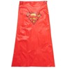 DC Comics Justice League Superman Batman Waterproof Rain Jacket Cape and Umbrella 3 Piece Set Toddler to Little Kid - 3 of 4