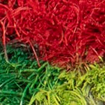 merry christmas holly black