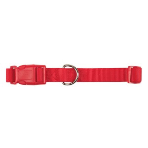 Casual Canine ⅜" Wide Nylon Dog Collar, Fits Necks 6" to 10", Tomato Red - 1 of 2