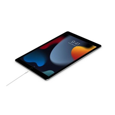 Apple USB-C to Lightning Cable (1m)