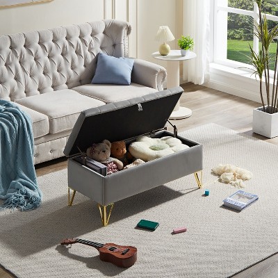 Vynxaria Upholstered Storage Bench ¨C Elegant Velvet Ottoman with Gold Legs