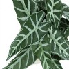 GlasFlength Artificial Plants Small Fake Plants Artificial Grass Plants Faux Plants for Indoor Home Table Decoration, Green, 8"*7"*8" - 3 of 4