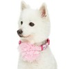 Blueberry Pet Floral Power Designer Dog Collar with Detachable Pink Peony - 4 of 4