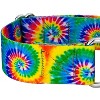 Country Brook Petz® 2 Inch Martingale Dog Collar - 4 of 4