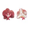 Unique Bargains Women's Phalaenopsis Faux Pearl Duckbill Clip 2 Pcs - 3 of 4