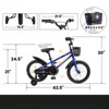 VisioGear Kids Bike for Boys and Girls with Training Wheels, Freestyle Kids' Bicycle with Bell, Basket and fender, Blue, 43.5*21.5*30 - 2 of 4