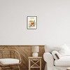 Stupell Industries Botanical Plants & Mushrooms Framed Giclee Art - 2 of 4
