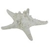 Northlight Nautical Starfish Coastal Decoration - 11.75" - Sandy White and Brown - 3 of 4