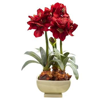 Amaryllis Bulb Floral Arrangement with Cream Vase - Red