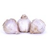 Van Zyverden 5ct 'Italian Late' Garlic Bulb - 4 of 4