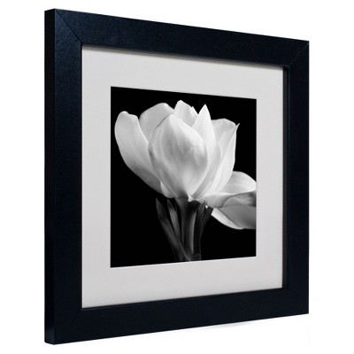 Trademark Fine Art - Michael Harrison 'Gardenia' Matted Framed Art