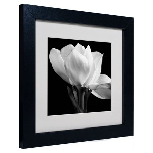 Trademark Fine Art - Michael Harrison 'Gardenia' Matted Framed Art - 1 of 3