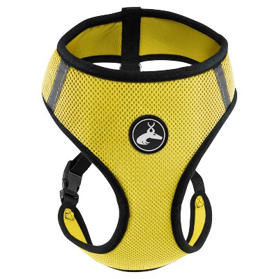 yellow dog harness
