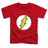 Toddler Boys' the Flash Distressed T-Shirt - 2 of 4
