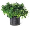 Gardener's Best Universal Grow Bag - 2 of 4