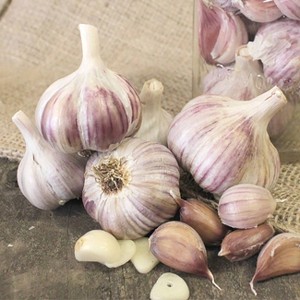 Van Zyverden 3ct Cloves Garlic Rocambole German Red - 1 of 4