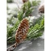 Sullivans Long Pine & Pinecone Artificial Stem 48"H Green - 2 of 3