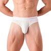 Obviously Primeman Hipster Brief - 2 of 3