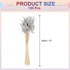 Unique Bargains Decorative Natural Dried Floral Bunny Tail Artificial Plants 120 Pcs - 2 of 4
