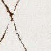 ivory/brown