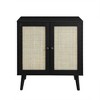 Modern Boho Wood and Rattan 2 Door Accent Cabinet - Saracina Home - 3 of 4