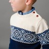 Hope & Henry Boys'  Long Sleeve Intarsia Crew Neck Pullover Sweater with Buttons, Kids - 4 of 4