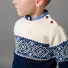 Hope & Henry Boys' Organic Long Sleeve Intarsia Crew Neck Pullover Sweater with Buttons, Kids - 4 of 4