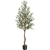 6ft Artificial Olive Tree,Tall Faux Olive Trees with Silk Leaves Curved Wood Trunk and Lifelike Fruit for Home Office Living Room Decor - 2 of 4